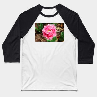 Double Late Tulip Baseball T-Shirt